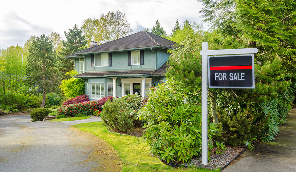 Unbelievable Property Deals! Insider Tips the Realtors Don’t Want You to Know